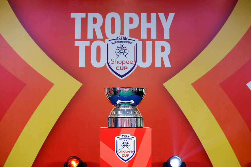 Trophy Display image